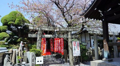 🙏 죠코엔만 절 (常光円満寺)